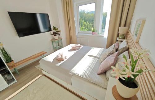 Prague 5 Apartment | Stylish Studio Apartment, Prague Smichov, Parking, Free Gym
