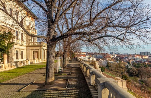 Vrsovice Apartment | Sunny luxury apartments Grebovka