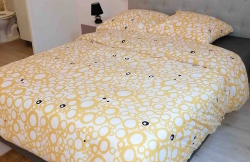 Pech-David Apartment | T2 duplex air-conditioned Rangueil Fac, hospital lot14, private parking