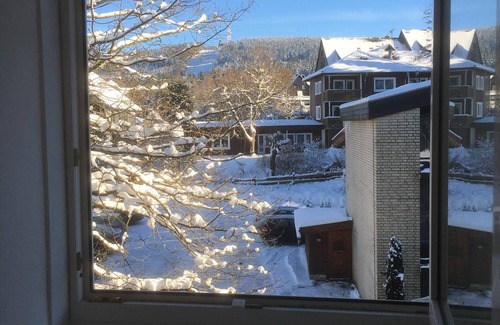 Hahnenklee Apartment | TOP LOCATION, vacation apartment Andresen, directly at the Kranichsee
