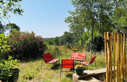 Saint-Clement-de-Riviere House | Villa 13 personnes - 1 hectare de parc naturel - piscine
