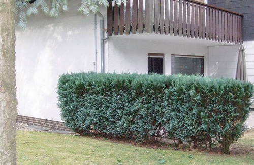 Bockswiese Apartment | 1 bedroom nice apartment in Goslar