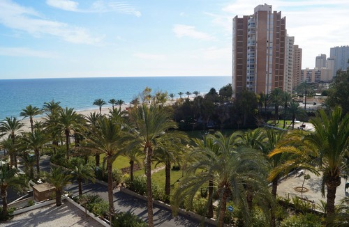 Coveta Fuma Apartment | 1st line of muchavista beach, sea views and palm grove.
