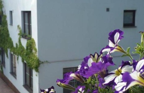 Kosire Bed & Breakfast | 20 m² Bed and breakfast ∙ 4 guests