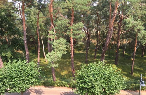 Ahlbeck Apartment | 25 m² Apartment ∙ 1 bedroom ∙ 2 guests