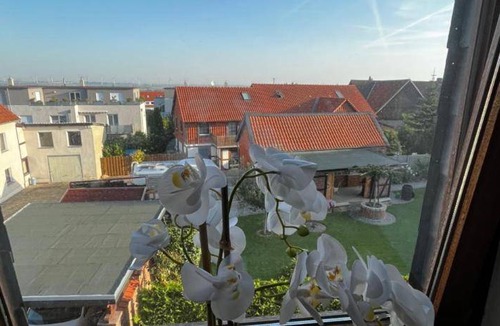 Lichtenberg Apartment | 30 m² Apartment ∙ 1 bedroom ∙ 1 guest