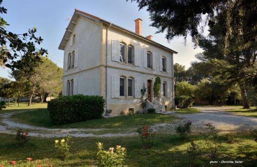 Salin-de-Giraud Bed & Breakfast | 36 m² Bed and breakfast ∙ 3 guests