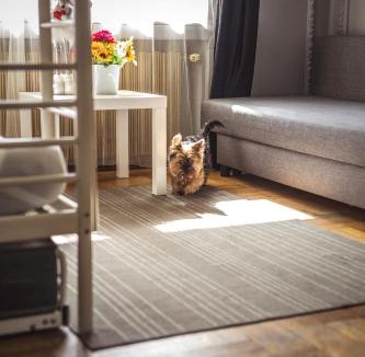 Zwierzyniec Hostel | 4 Couples Hostel