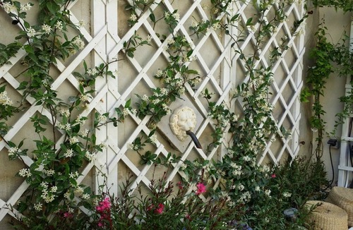 Avignon City Centre House | 5-star House with garden and heated swimming pool - city center - aircon