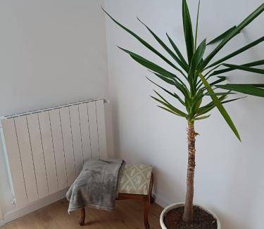 Orio Apartment | 50 m² Apartment ∙ 2 bedrooms ∙ 4 guests
