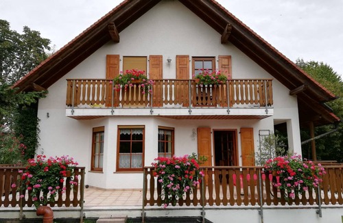 Alzey Apartment | 52 m² Apartment ∙ 1 bedroom ∙ 3 guests