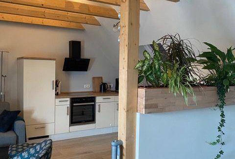 Langenstein Apartment | 55 m² Apartment ∙ 1 bedroom ∙ 3 guests