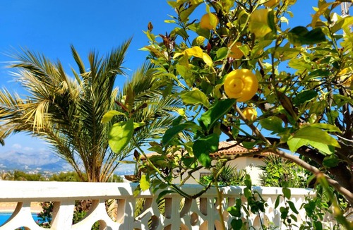 El Albir House | Albir Resort