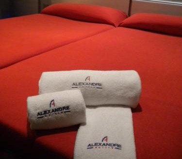 El Port Hotel | Alexandre Fira Congress