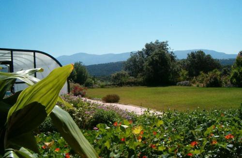 Guijo de Granadilla Apartment | Apartamentos El Jardín del Poeta