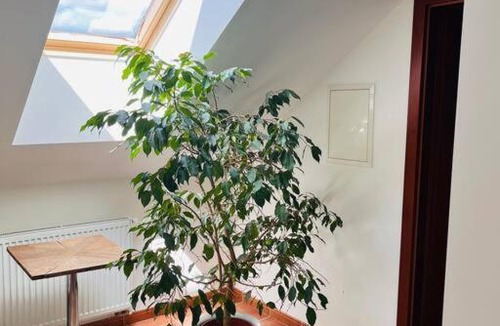 Orech Apartment | Apartmán se zahradou 20 minut do centra Prahy