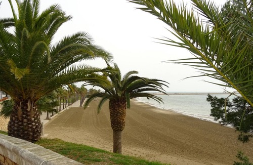 Sant Carles de la Rapita Apartment | Apartment 5 minutes from Sant Carles de la Ràpita beach