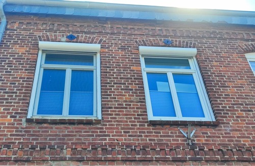 Eckernfoerde Apartment | Apartment/app. for 2 guests with 55m² in Eckernförde (95331)