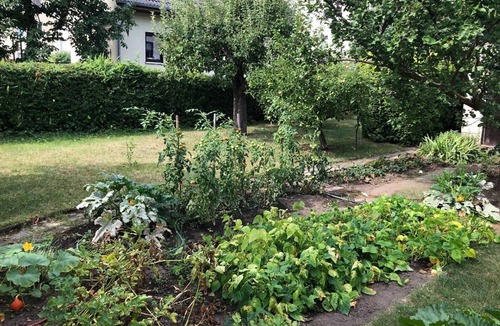 Magdeburg House | Apartment "Elbidyll" with 50 square meters - centrally located