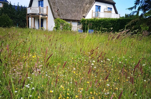 Lancken-Granitz Apartment | Apartment in the beautiful biosphere reserve on Rügen