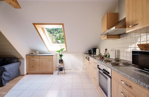 Oppenau Apartment | Apartment 'Moosblick' with Balcony and Wi-Fi