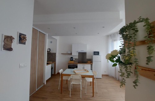 Montbeliard Apartment | Appart' DuChatelain lumineux, vue sur château