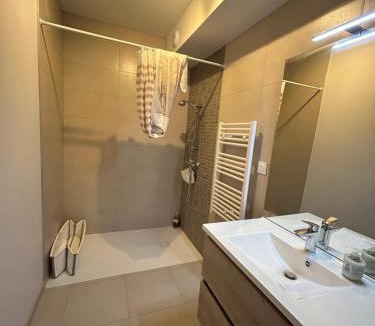 Chateauneuf-de-Galaure Apartment | Appartement avec jardin