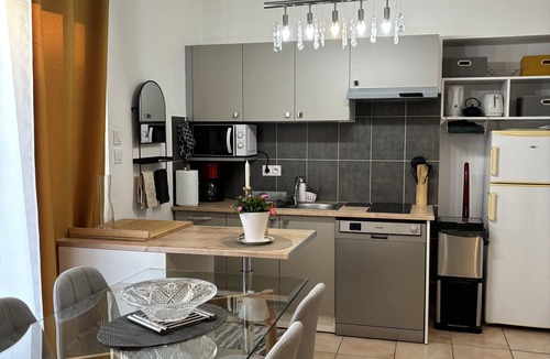 Miplaine Apartment | Atmosphère Cocooning Près Eurexpo/groupama Stadium