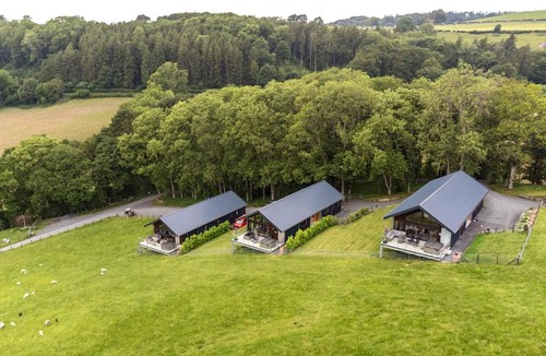 Kingswood House | Barcud Coch - Red Kite