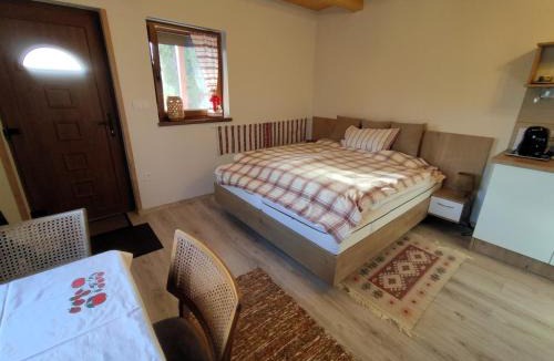 Mohacs Apartment | Barna kuckó