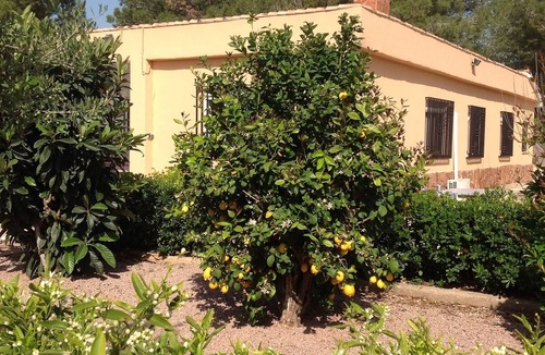 Godelleta Villa | Beautiful, Secluded Spanish Villa With Private Pool And Mountain Views