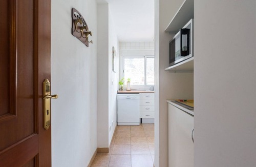 Playa de Mogan Apartment | Big & Quiet Appartment Close To The Beach with Elevator