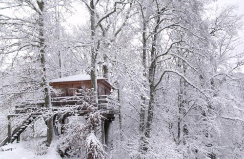 Ferdrupt Ski Chalet | Cabane perchée avec terrasse, sauna et BBQ à Ferdrupt - FR-1-589-770