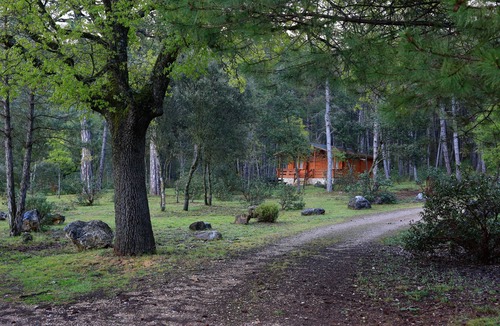 Canamares Cabin | Cabins El Llano de los Conejos - Cabin 4