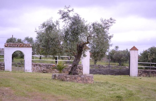 Casar de Caceres House | Casa Rural Los Jarales Número Registro TR-CC-00365