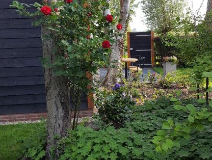 Castricum Apartment | Chalet