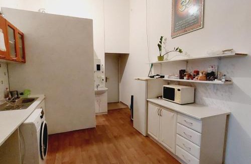Stare Mesto Apartment | Charles bridge, Old town3 Min walk Private Room H