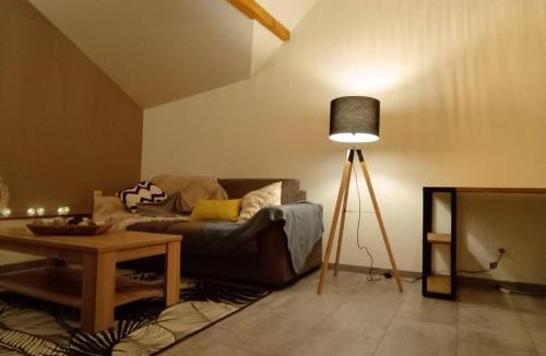 Novalaise House | Charmant Triplex plein centre