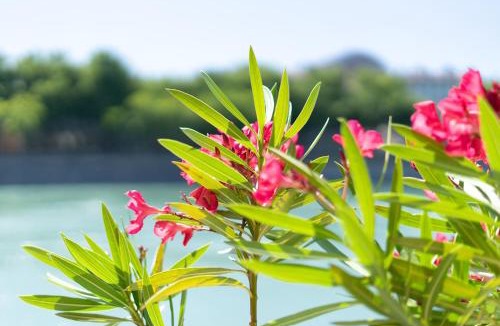 Moliere - Edgard Quinet Bed & Breakfast | Chez Tatiana