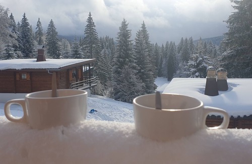 Premanon Ski Chalet | Cosy and comfortable 4-star chalet in a peaceful natural setting