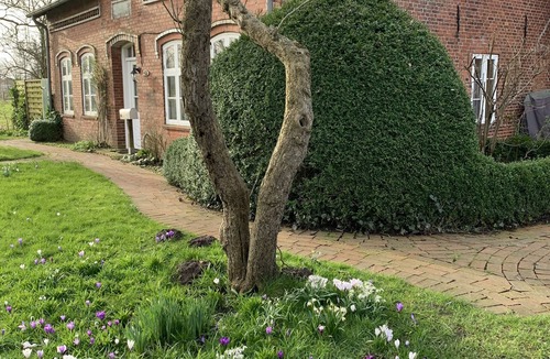 Monkebull House | Cottage on a big property close to the North Sea tideland