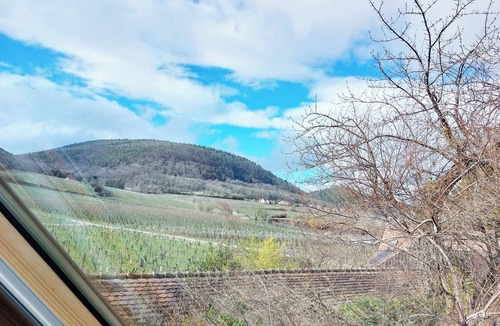 Voegtlinshoffen Apartment | Cottage with heated pool on the wine route and close to EGUISHEIM