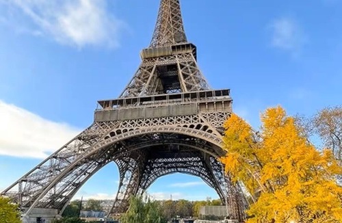 Quartier du Gros-Caillou Apartment | Cozy Studio 1-3P Eiffel Tower n Quai de Seine
