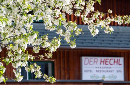 Tauplitz Hotel | Der Hechl