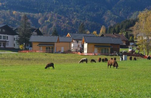 Kotschach-Mauthen House | Dijkstra`s Cottage 679