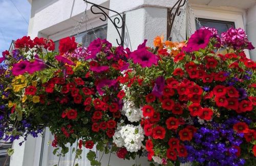 Bournemouth City Centre Bed & Breakfast | Dolphins Hotel