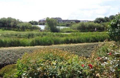Norderhafen Apartment | Dyke nest directly on the outer dike with a wonderful view over the north beach