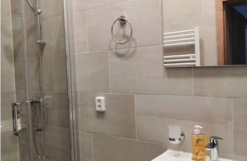 Petrska ctvrt Apartment | Economic group apartment with single beds