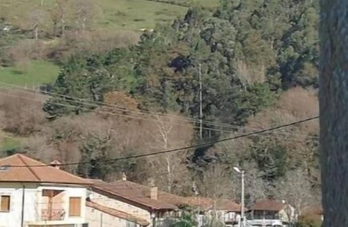 Santa Maria de Cayon Apartment | El Pajar, rustic apt. & gardens with sheep & hens