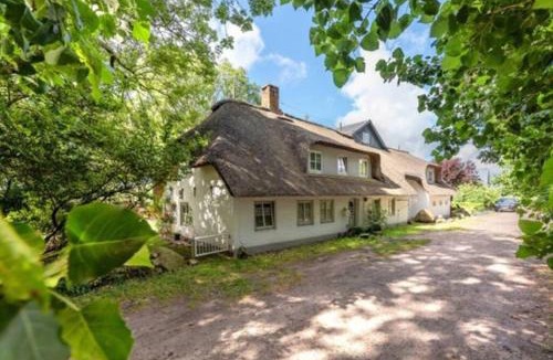 Borgsum Apartment | Föhrzeit Wohnung 3 Kuschelig unter Reet mit Garten